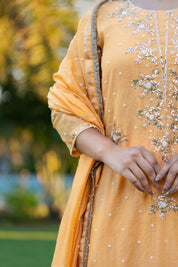 MEERA - MUKAISH SUIT SET IN PEACH